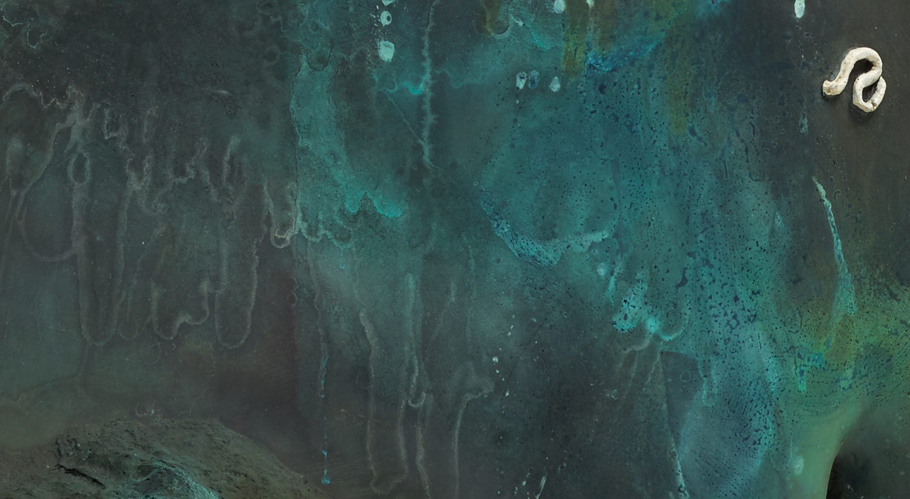 DAMIEN HIRST – ARCHAEOLOGY NOW