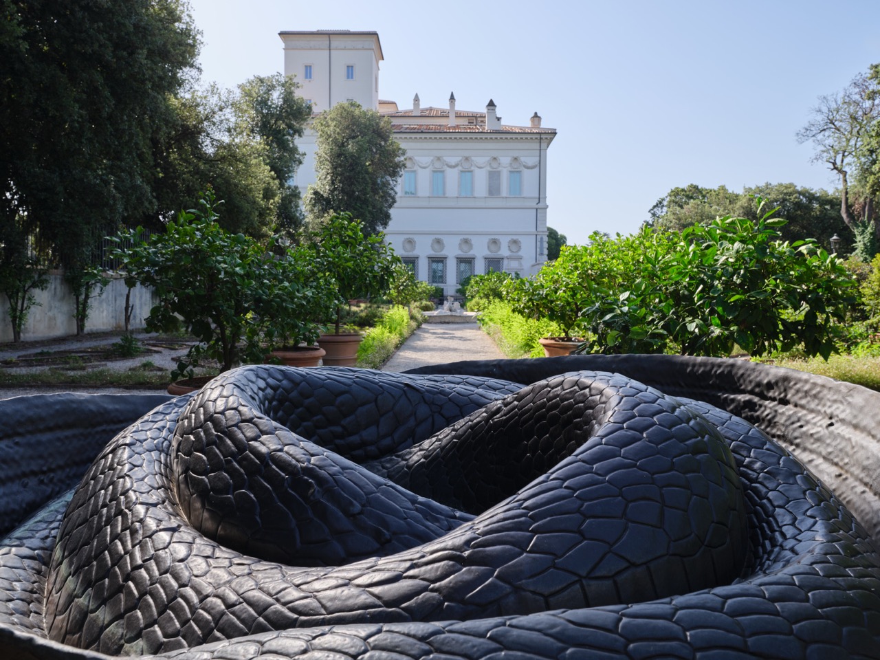 WATER WOMAN, HEADS IN A BASKET, NYOKA, MUSA