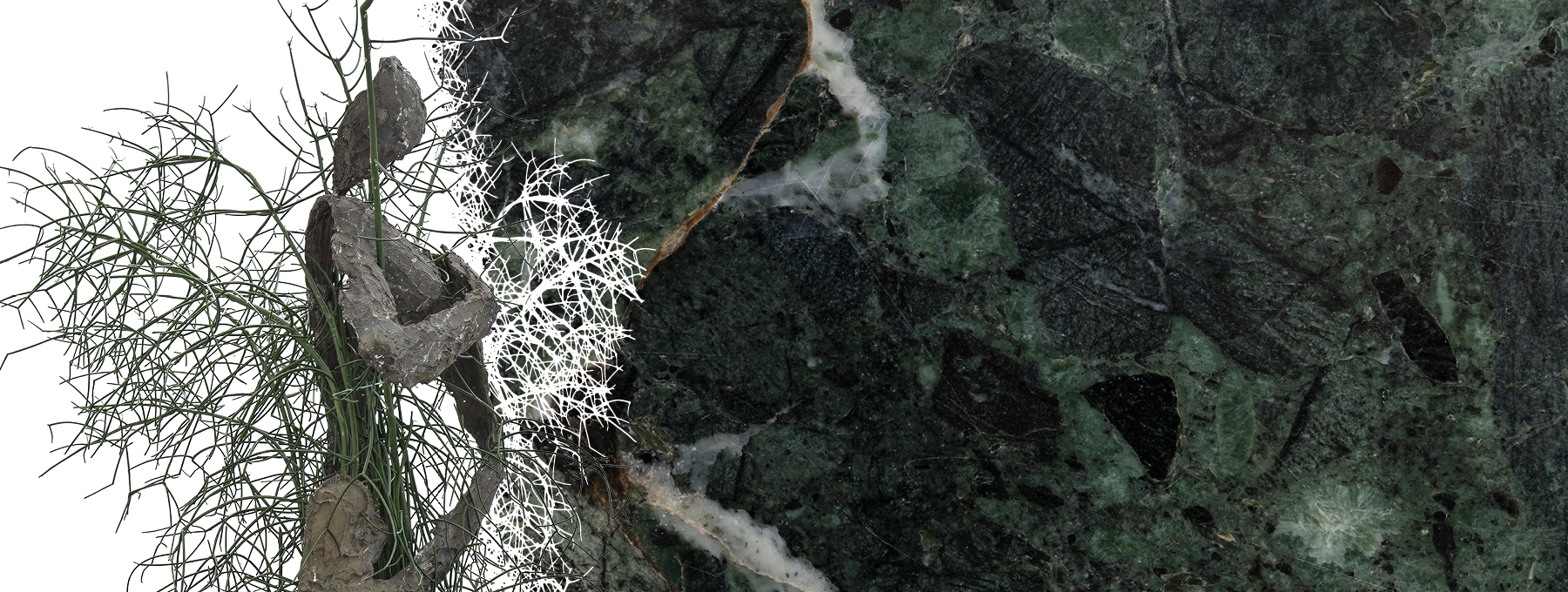 GIUSEPPE PENONE. GESTI UNIVERSALI