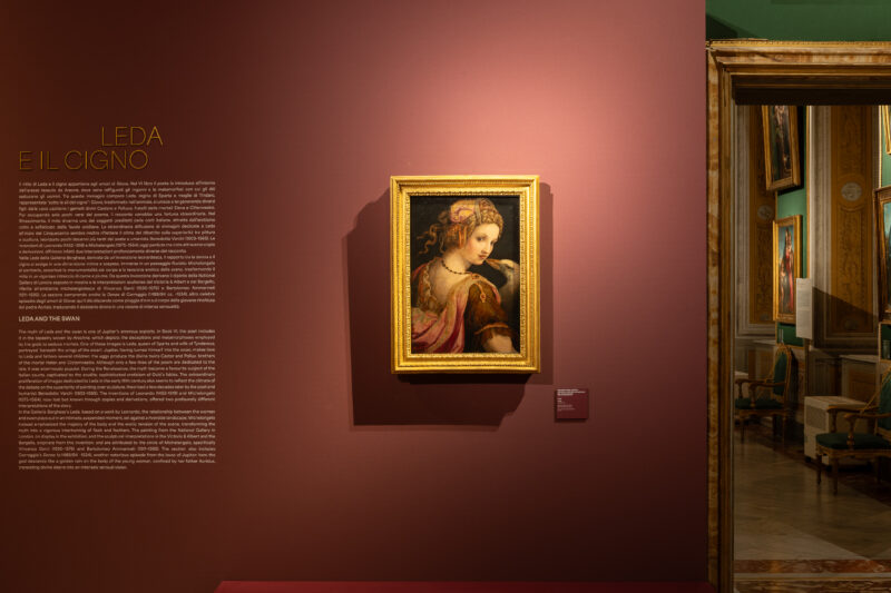LEDA E IL CIGNO